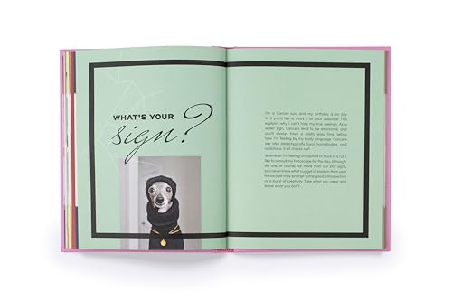 Tika the Iggy: Lessons in Life, Love, and Fashion