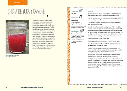 Sandor Katz’s Fermentation Journeys: Recipes, Techniques, and Traditions from around the World