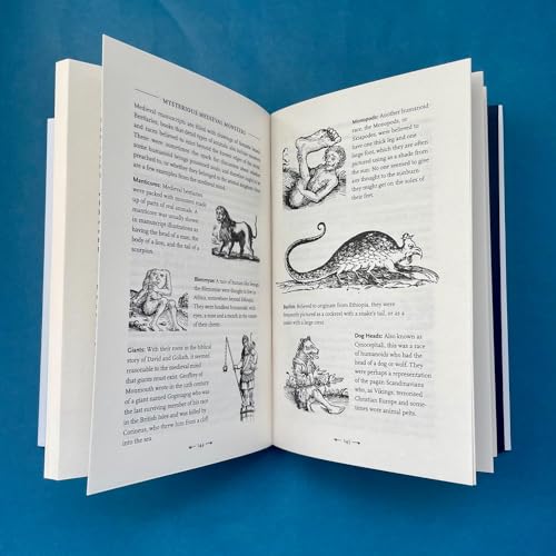 The History Hit Miscellany of Facts, Figures and Fascinating Finds introduced by Dan Snow