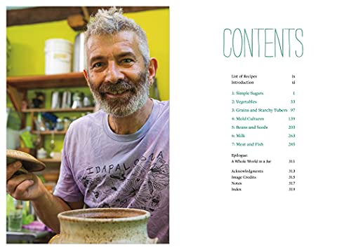 Sandor Katz’s Fermentation Journeys: Recipes, Techniques, and Traditions from around the World