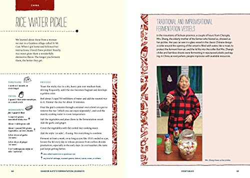 Sandor Katz’s Fermentation Journeys: Recipes, Techniques, and Traditions from around the World