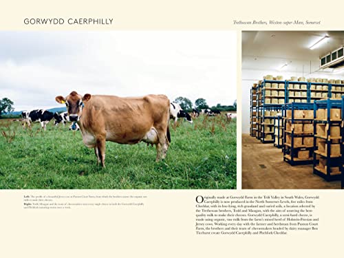 A Portrait of British Cheese: A Celebration of Artistry, Regionality and Recipes