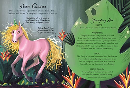 The Magical Unicorn Society: Baby Unicorns